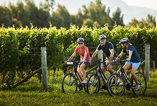 Explore Marlborough Biking self guided