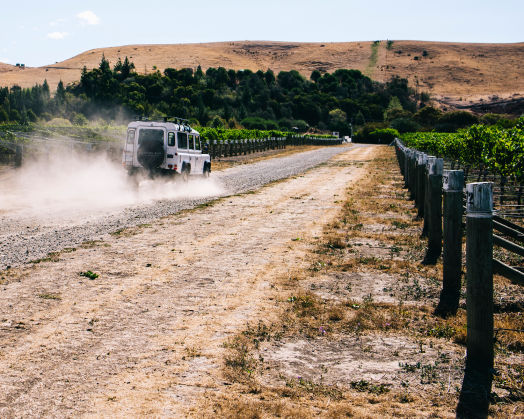 Cloudy Bay Private Vineyard Tour